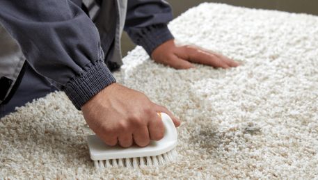 Professional Rug Cleaning Donvale