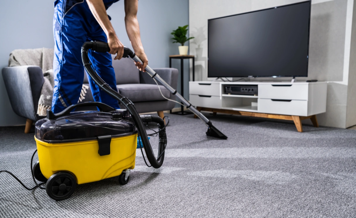 Extract Rug Cleaning Donvale Contact Office